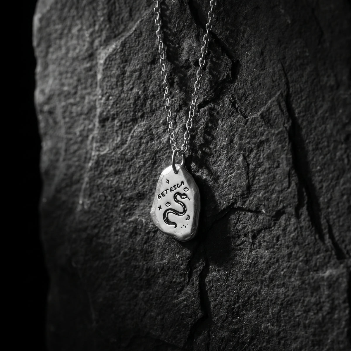 The Snake Talisman Necklace