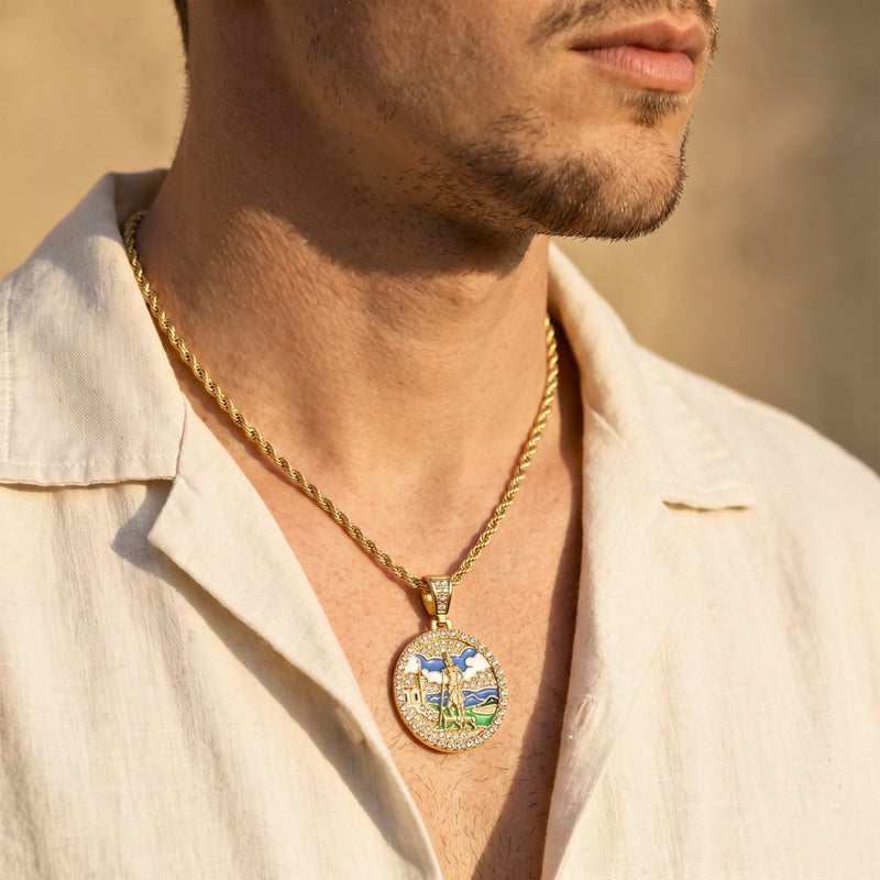 Angled close-up of a man wearing the gold-tone enamel medallion necklace over an open light shirt.