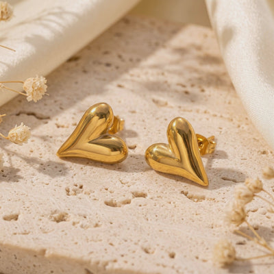 YLQ49228-earrings rotation video