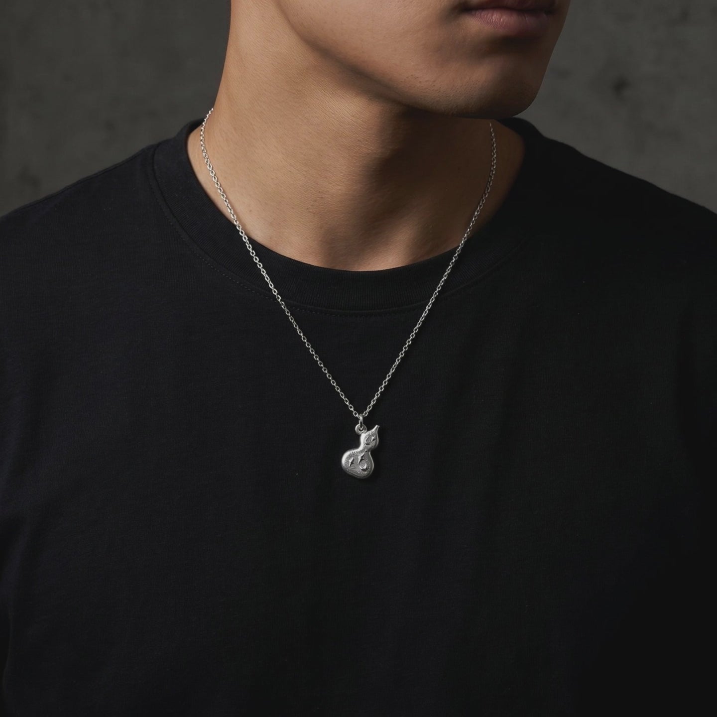 YLQ50130-Necklace lifestyle video